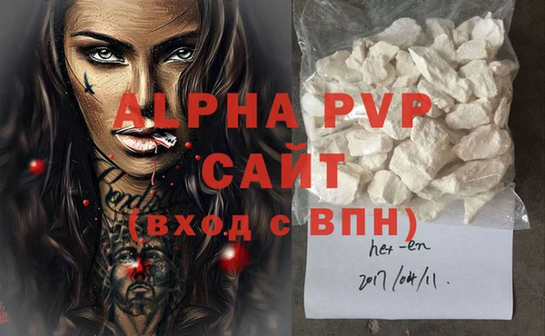 jwh Сясьстрой