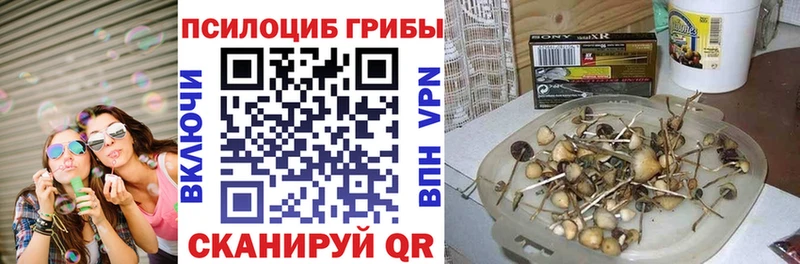Галлюциногенные грибы GOLDEN TEACHER  Купить закладки  Белоярский 